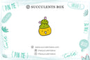 Cute Cactus Enamel Pin for sale, Prickly Pear pin, Metal Plated Lapel Pin, Succulent Pin Badge for sale, Cactus Gift Craft Ideas, cactus, cactus succulent, succulent cactus, cacti, cactus and succulents, succulents box, succulent shop, buy succulents online