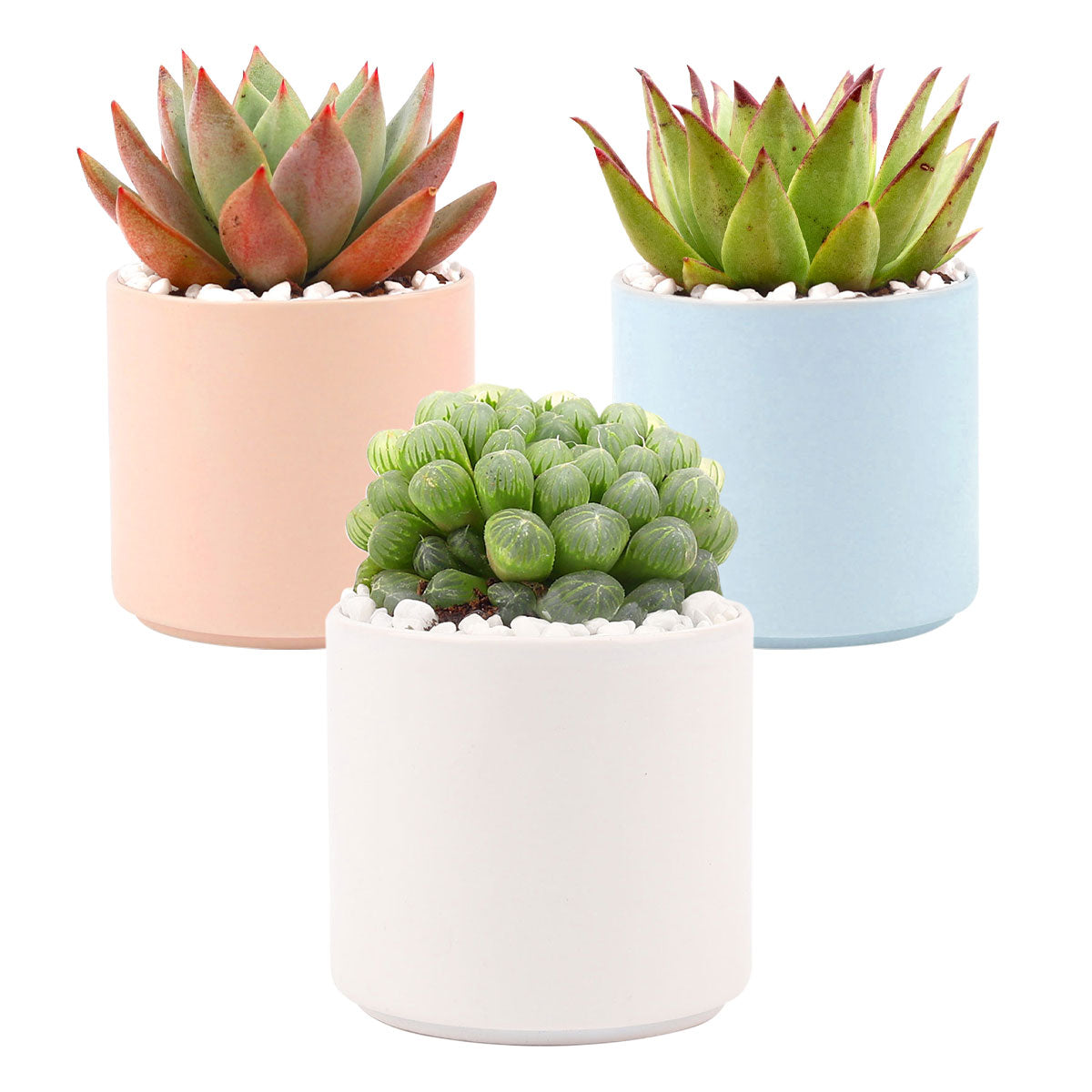 fancy succulent pots 3 Pack Modern Cylinder Pots, Decorative Succulent Planter for Home Office