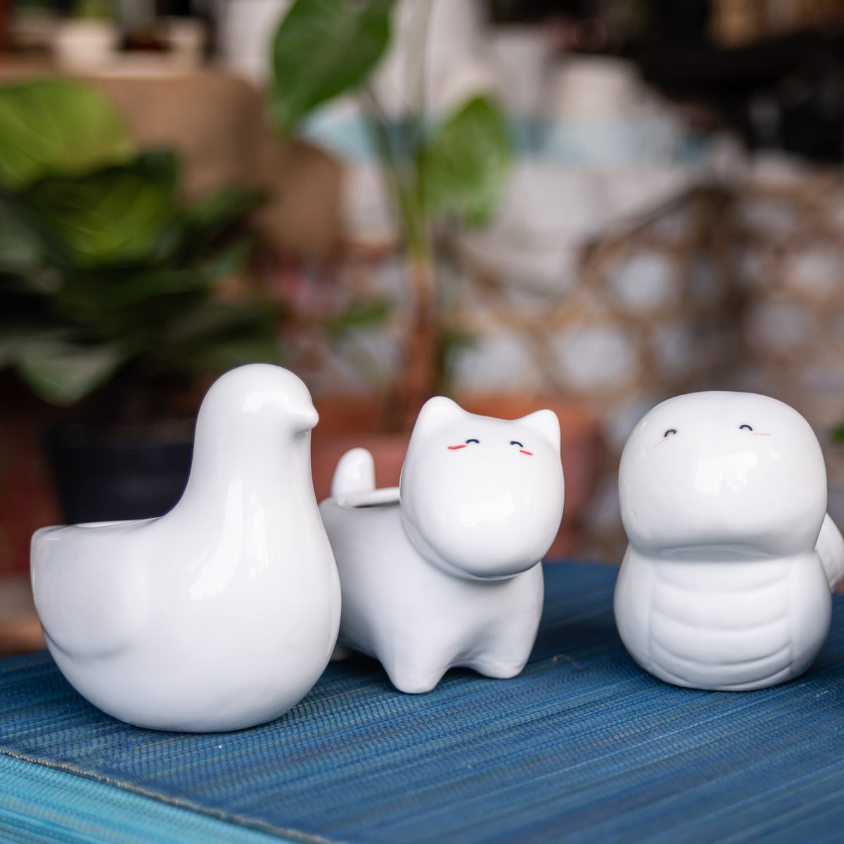 ceramic chic pot for sale, succulent pot for sale, succulent pot with drainage hole, white ceramic pot for succulent and cactus