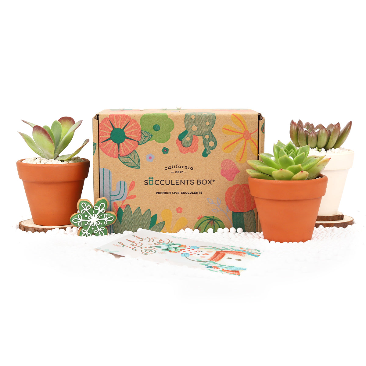 subscription christmas gifts, christmas gift subscription ideas, subscription boxes christmas gift, subscription gifts for christmas, subscription boxes for christmas, Succulents Shop in California, Succulents, Cactus, Indoor Plants
