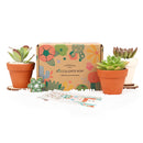 3 Succulents 3 Clay Pots/month - 12 month Subscription Auto renew