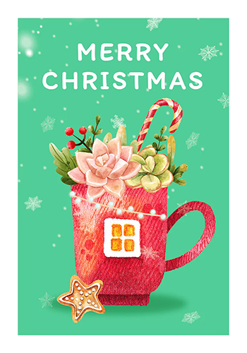 Succulent Merry Christmas Card