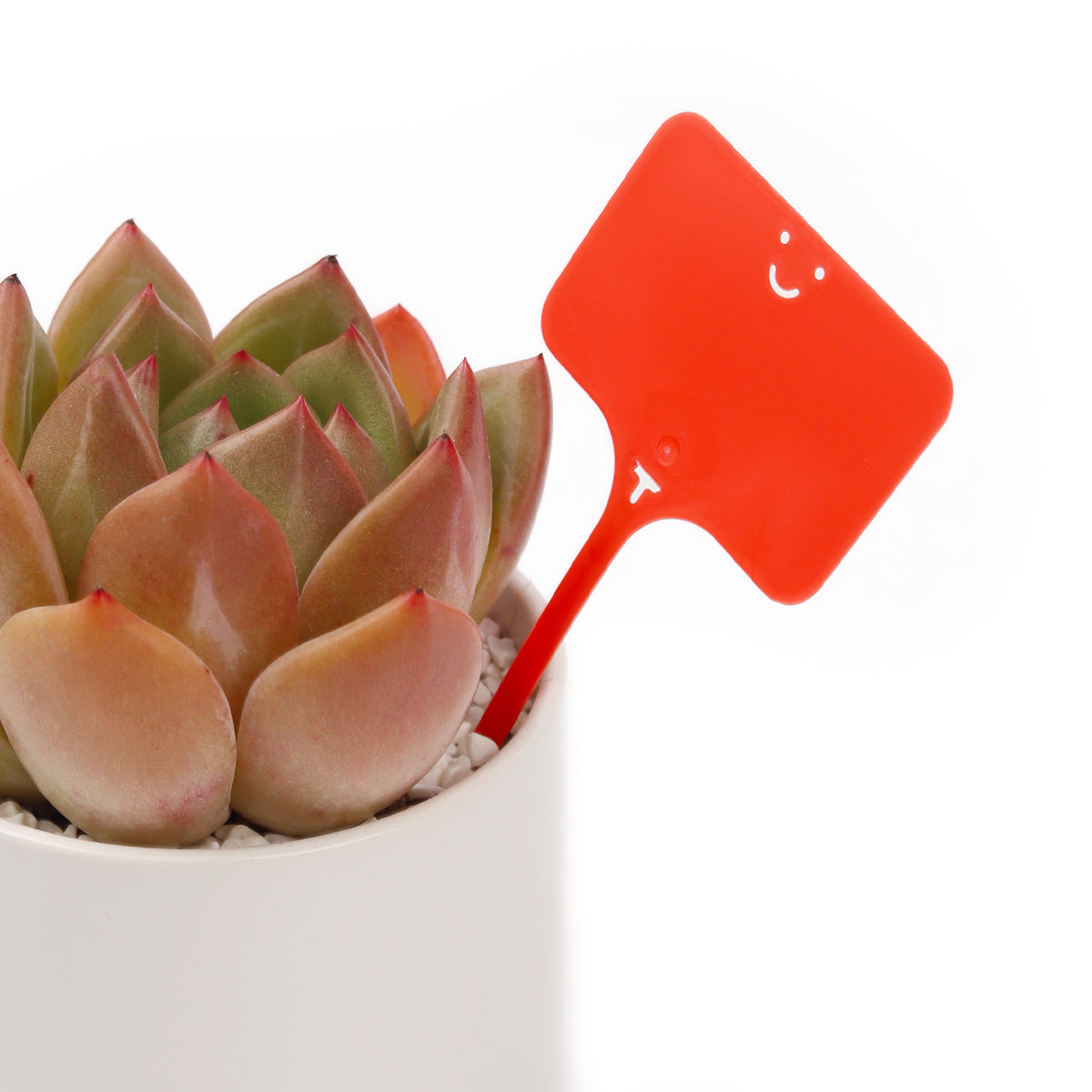 plant labels, plant tags, succulent tags, rectangle plant tag with a smiley face, smiley face gardening accessories, red plastic plant labels