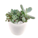 unique diy gifts, valentines succulent arrangement, small succulent arrangement ideas, holiday succulent gifts, succulent themed gifts, succulent pot arrangement, succulent christmas gifts, cactus succulent arrangement, Thank You Gift Dad, Appreciation Gift for Dad