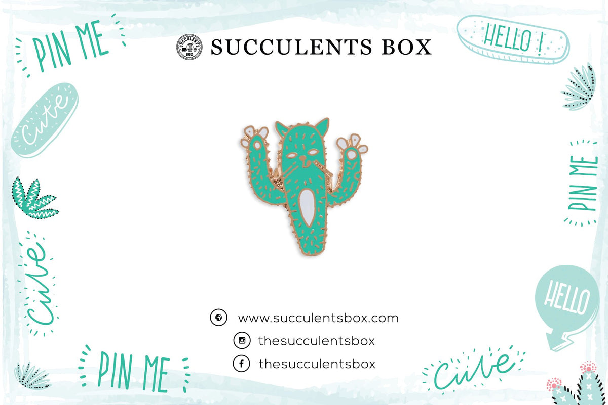Cactus Cat Enamel Pin for sale, cat brooch for sale, cat cactus lovers, cactus gift box, succulents gift ideas, Gifts for cat lovers, Gifts for plant lovers, cactus, cactus succulent, succulent cactus, cacti, cactus and succulents, succulents box, succulent shop, buy succulents online