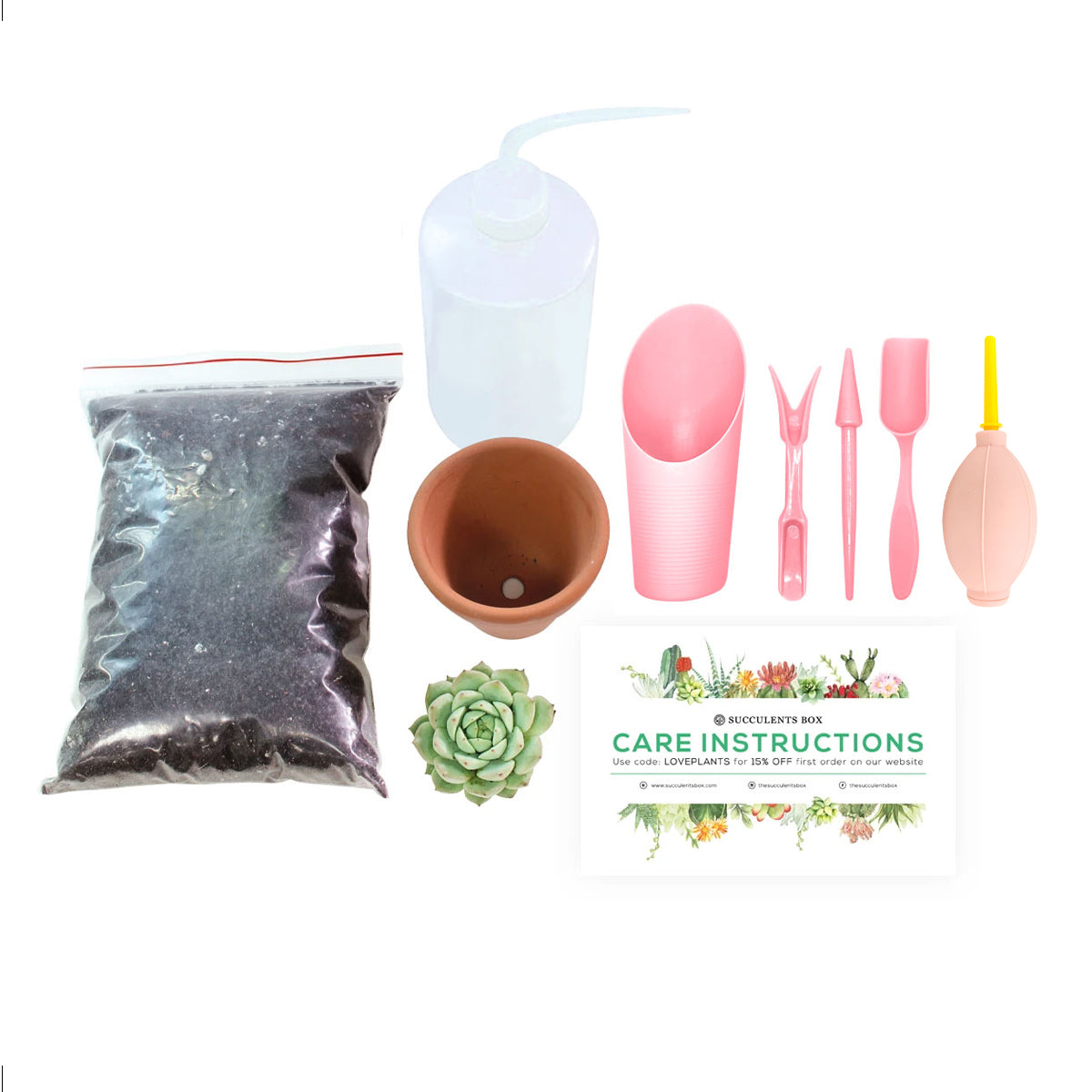 succulent care kit Beginner Kit (tools + 2" plant) | Plant Starter Kit | Succulent Gift for Beginners