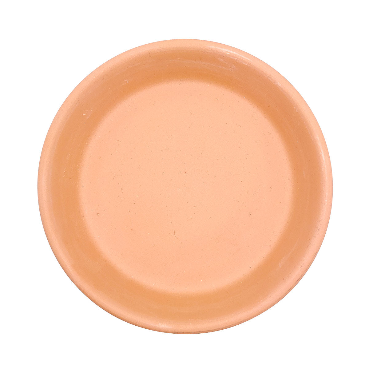 plate for plant pot 4" Terracotta Pot Saucer | Succulents Care