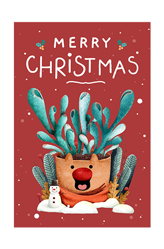Merry Christmas Card