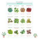 Succulent ID Cards for sale, Airplant ID Cards for sale, Succulent Care Cards, ID Cards for Specific Succulents, Identifying Types of Succulents, Types of Succulent Plants, How to identify Types of succulents, Succulents Gift Ideas, How to care for Types of Succulents
