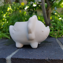 DIY Ceramic Dinosaur Pot for sale, White Animal Succulent Pot, Home Decorative DIY Planter, Succulent Gift Ideas, Crafts for kids, Animal Plant Pot for sale