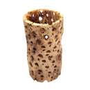 Rare chain Cholla Wood 2'' Inch Wide