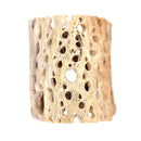 Rare Cholla Wood 3 inch Pot