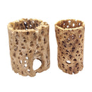 Rare chain Cholla Wood 2'' Inch Wide