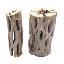 3 inch Staghorn Cholla Wood Pot for sale, Teddy Bear Cholla for Aquariums, Crafting, Air Plants, Natural cactus cholla wood, Home decor ideas, Air plant display, Air plant accessory for sale