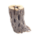 3 inch Staghorn Cholla Wood Pot for sale, Teddy Bear Cholla for Aquariums, Crafting, Air Plants, Natural cactus cholla wood, Home decor ideas, Air plant display, Air plant accessory for sale