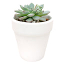 2&#39;&#39; White Clay Pot
