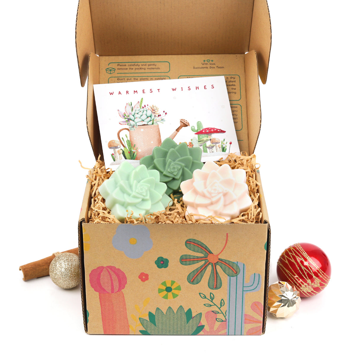 Christmas Succulents, Christmas Succulent Plants, Succulents for Christmas Ideas in 2023, Succulent Christmas Decorations, Succulent Christmas Gift Ideas