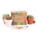 3 Succulents 3 Clay Pots/month - 12 month Subscription Auto renew