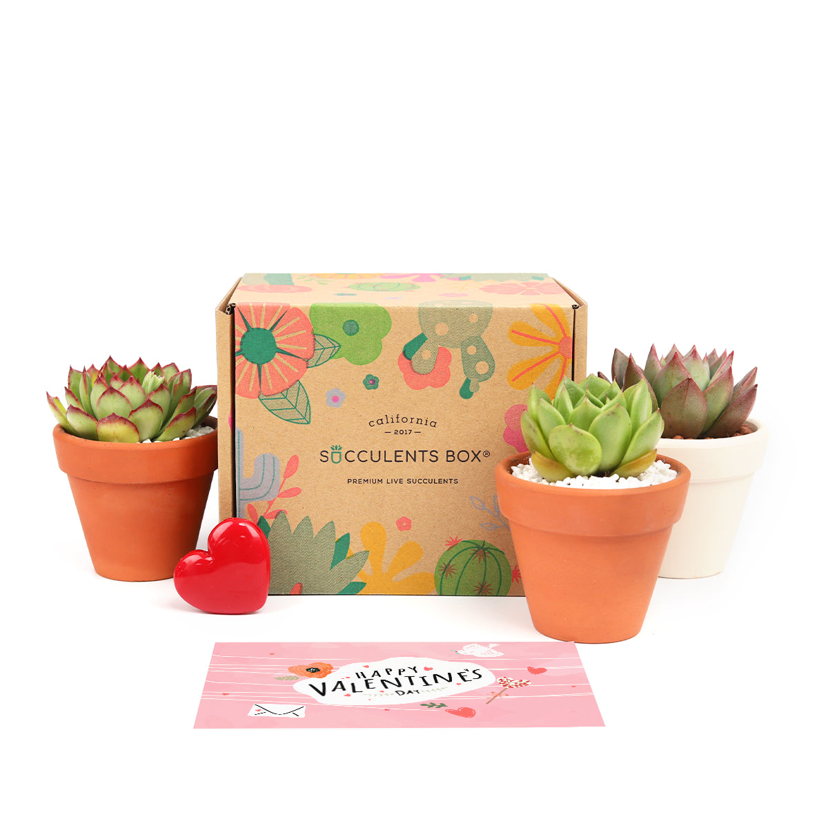 succulent subscription with clay pot monthly, live plant delivered monthly, succulent gift ideas