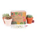 3 Succulents 3 Clay Pots/month - 12 month Subscription Auto renew