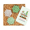 cute holiday cards, modern holiday cards, holiday cards 2025, holiday cards sale