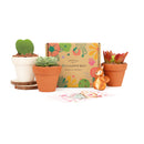 3 Succulents 3 Clay Pots/month - 12 month Subscription Auto renew
