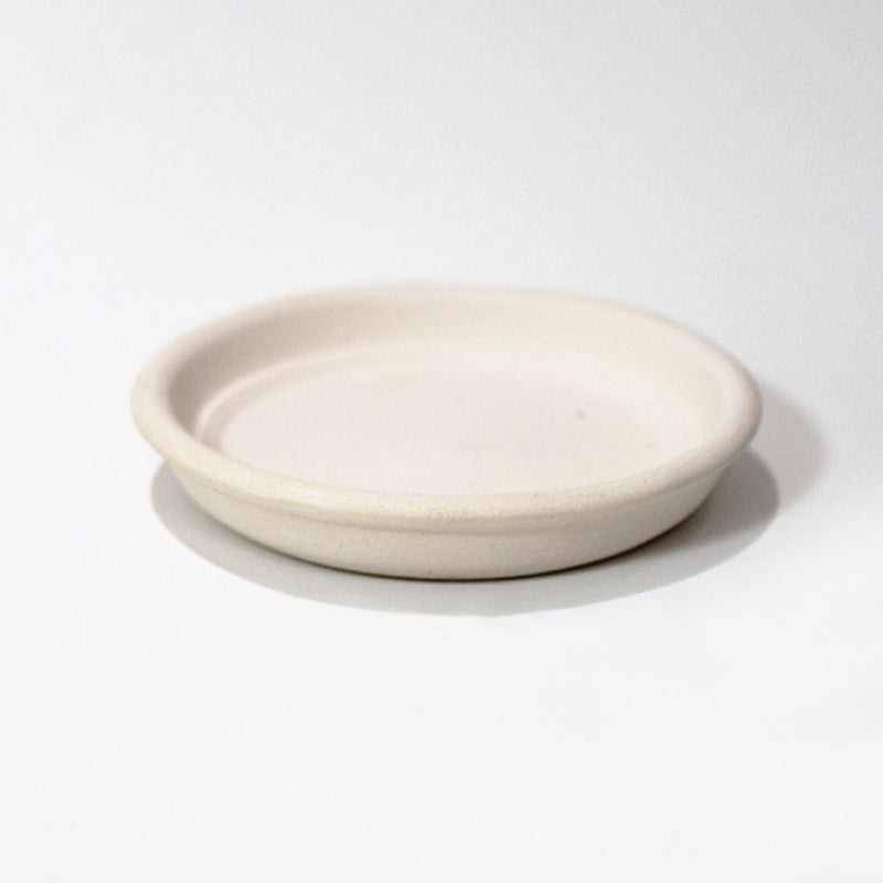 Succulents Care, Succulents Pot