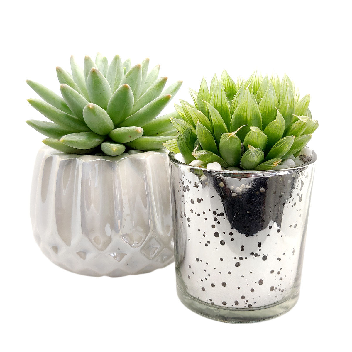 silver pot planter Silver Sparkly Pot | Succulent Pot for sale | Succulent Accessories