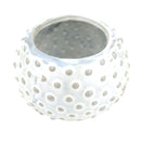 Cream Dot Ceramic Pot for sale, Round ceramic planter, Polka dot planter, Gift for plant lover, Succulent planter, Stylish Home Plant Decor