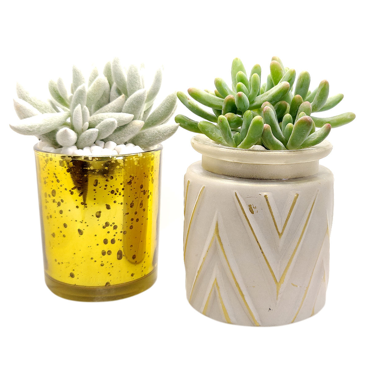 Pot for sale, Mini pot for succulent, Succulent pot decor ideas, Gold sparkly pot, Flower pot for sale, glass pots for planting, succulent gift for holiday