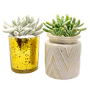 Pot for sale, Mini pot for succulent, Succulent pot decor ideas, Gold sparkly pot, Flower pot for sale, glass pots for planting, succulent gift for holiday
