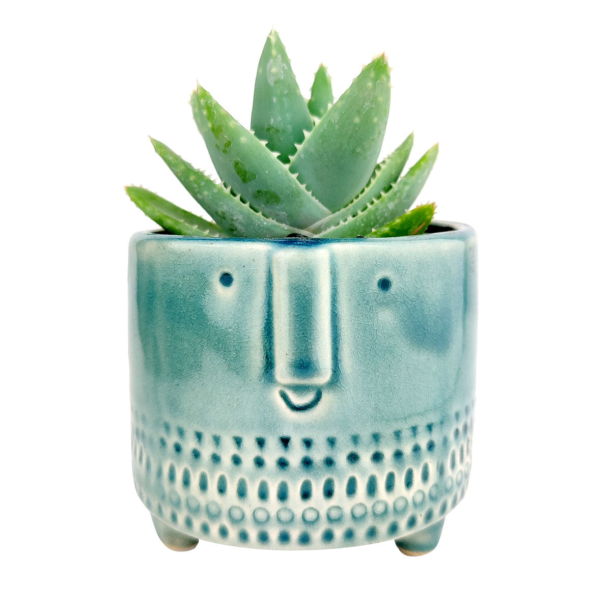 Crackled Glazed Gray Pot for sale, Minimalism Design Ceramic Pots for succulent plant, Medium ceramic succulent pot, Home decor Office decor, Round ceramic pot, Face ceramic pot for sale