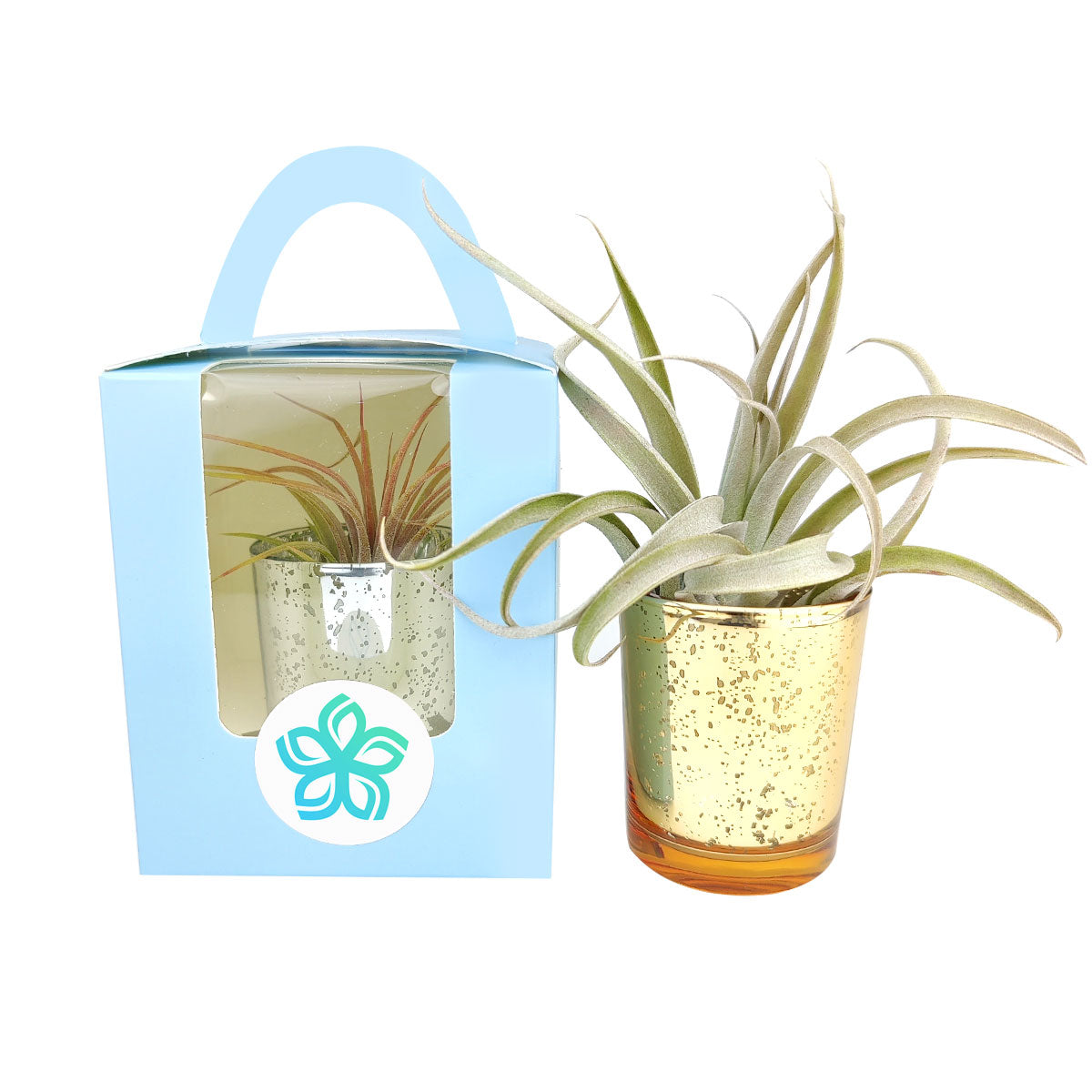 Stickers for succulents, personalized stickers, personalized gift ideas, personalized succulent gift ideas, personalized plant carrier bag, name gift ideas, wedding gift ideas, name stickers, logo stickers, name and date stickers