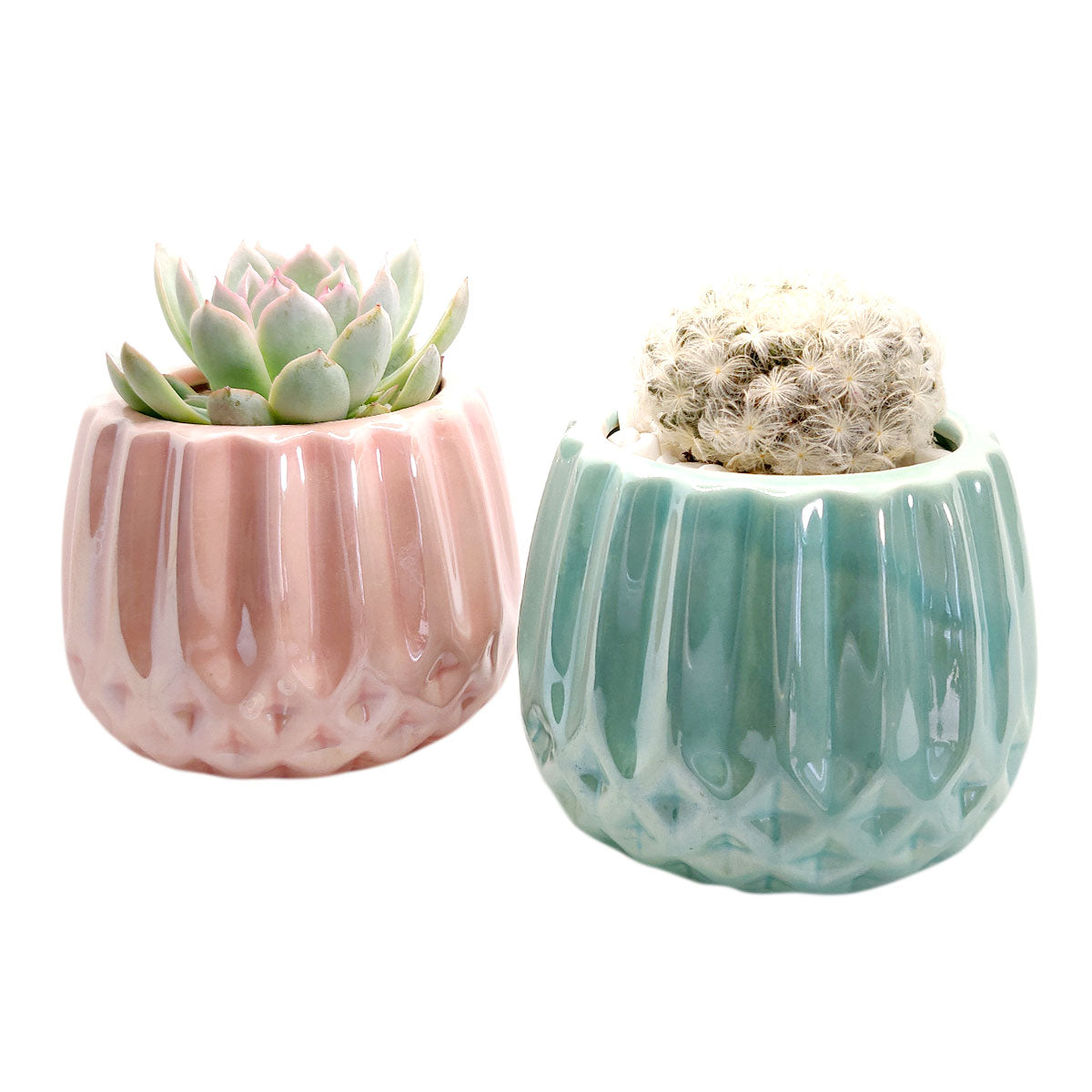 Pot for sale, Mini pot for succulent, Succulent pot decor ideas, Pink Modern Geometric Pot pot, Flower pot for sale, glass pots for planting, succulent gift for holiday