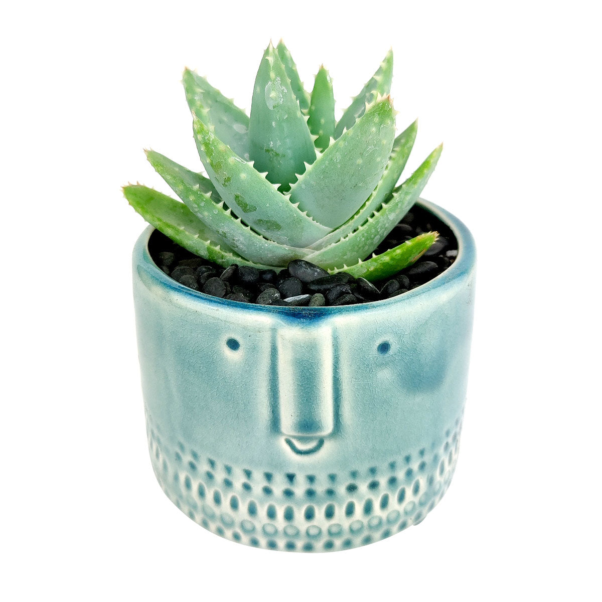 Crackled Glazed Gray Pot for sale, Minimalism Design Ceramic Pots for succulent plant, Medium ceramic succulent pot, Home decor Office decor, Round ceramic pot, Face ceramic pot for sale