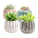 Pot for sale, Mini pot for succulent, Succulent pot decor ideas, Silver Modern Geometric Pot pot, Flower pot for sale, glass pots for planting, succulent gift for holiday