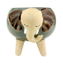 Elephant Ceramic Flower Pot, Elephant Ceramic Pot for sale, Small Succulent and Cactus Pot, Elegant Animal Desk Decor, Home Decor Office Decor, Cute elephant ceramic succulent planter pot, succulent gift ideas