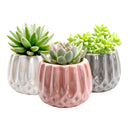 Pot for sale, Mini pot for succulent, Succulent pot decor ideas, Modern Geometric Pot pack, Flower pot for sale, glass pots for planting, succulent gift for holiday