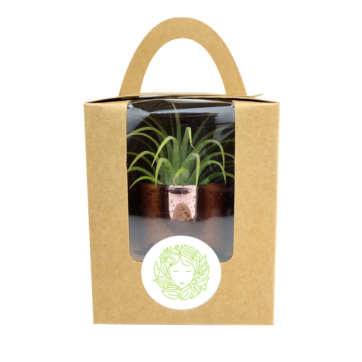 Stickers for succulents, personalized stickers, personalized gift ideas, personalized succulent gift ideas, personalized plant carrier bag, name gift ideas, wedding gift ideas, name stickers, logo stickers, name and date stickers