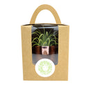 Stickers for succulents, personalized stickers, personalized gift ideas, personalized succulent gift ideas, personalized plant carrier bag, name gift ideas, wedding gift ideas, name stickers, logo stickers, name and date stickers