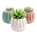 Pot for sale, Mini pot for succulent, Succulent pot decor ideas, Modern Geometric Pot pack, Flower pot for sale, glass pots for planting, succulent gift for holiday
