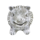 Cement Hedgehog Flower Pot, Cement Hedgehog Pot for sale, Small Succulent and Cactus Pot, Elegant Animal Desk Decor, Home Decor Office Decor, Cute Cement Hedgehog succulent planter pot, succulent gift ideas