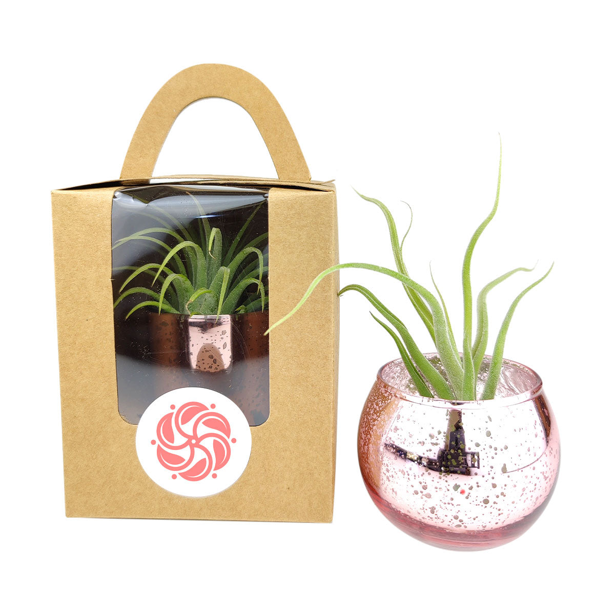 gift bags for potted plants Plant Carrier Bag with Handle - Perfect for Party Favors, Wedding, Gifts