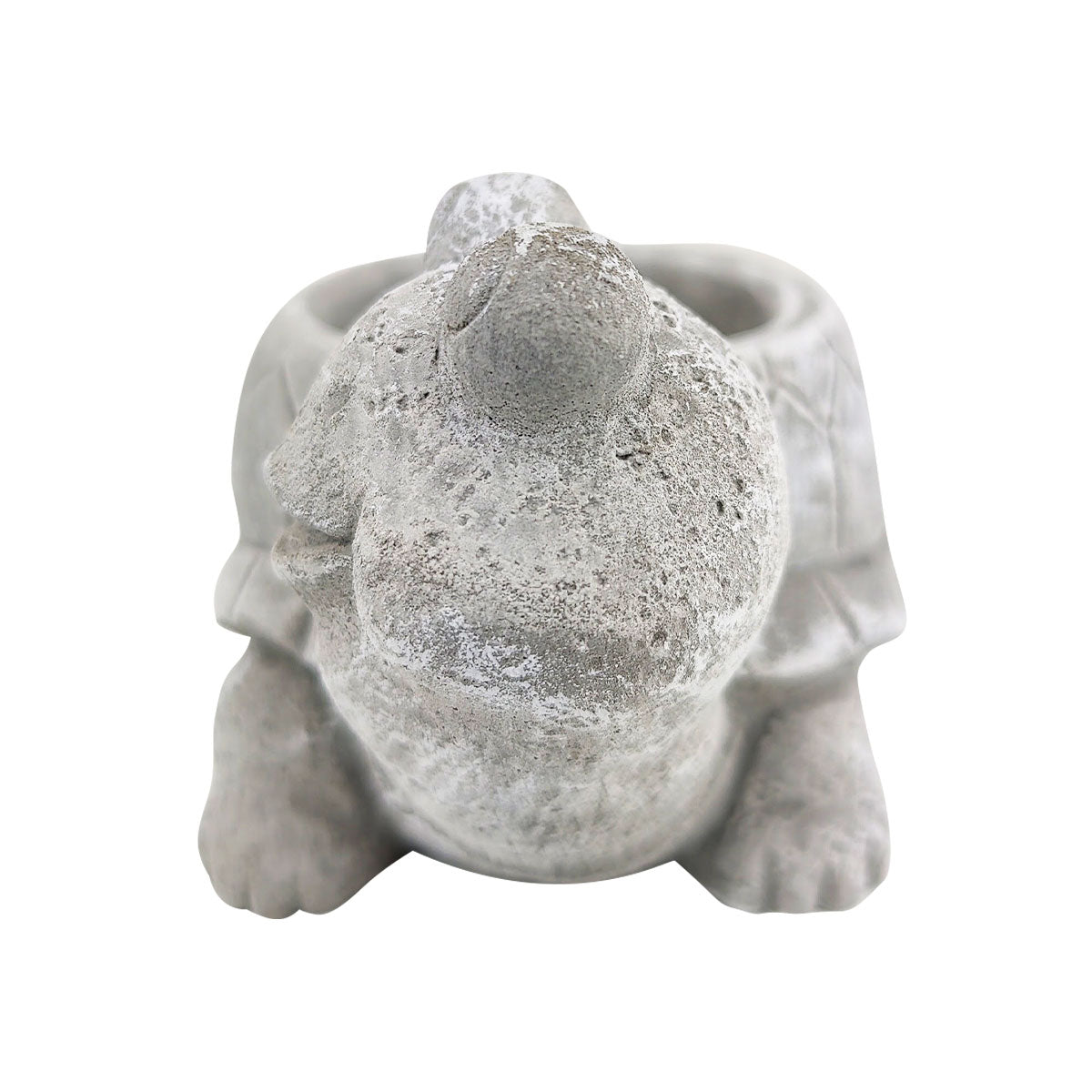 Cement Turtle Flower Pot, Cement Turtle Pot for sale, Small Succulent and Cactus Pot, Elegant Animal Desk Decor, Home Decor Office Decor, Cute Cement Turtle succulent planter pot, succulent gift ideas
