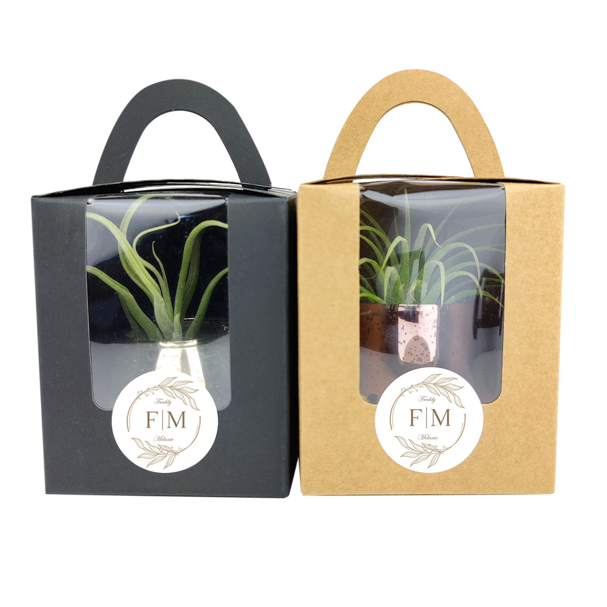 air plant party favors Plant Carrier Bag with Handle - Perfect for Party Favors, Wedding, Gifts