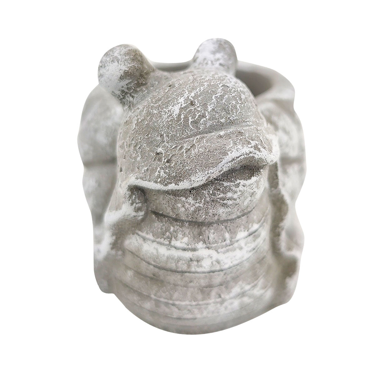 Cement Snail Flower Pot, Cement Snail Pot for sale, Small Succulent and Cactus Pot, Elegant Animal Desk Decor, Home Decor Office Decor, Cute Cement Snail succulent planter pot, succulent gift ideas