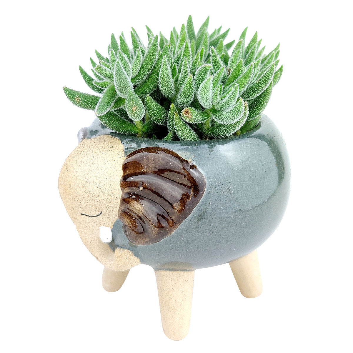 succulent elephant pot Ceramic Elephant Planter | Mini Animal Pot for Succulents, Cacti and Flowers