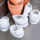 ceramic chic pot for sale, succulent pot for sale, succulent pot with drainage hole, white ceramic pot for succulent and cactus