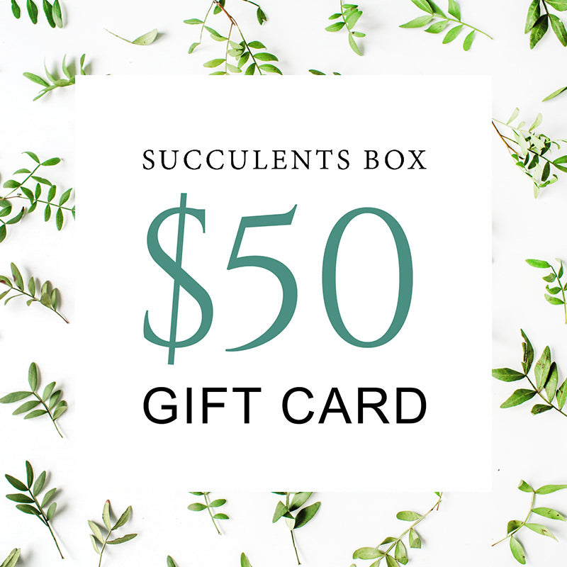 Succulent Gift Card