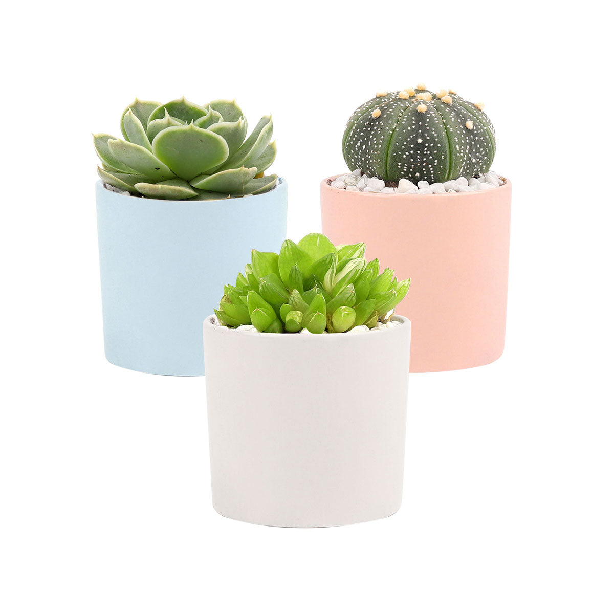 succulents planters for sale 3 Pack Modern Cylinder Pots, Decorative Succulent Planter for Home Office